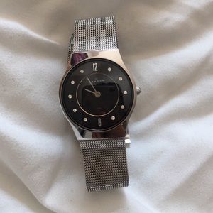 Silver Skagen watch