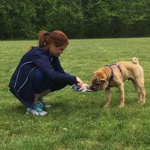 Meet your Posher, Molly