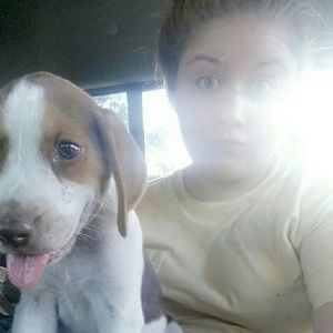 Meet your Posher, Frankie