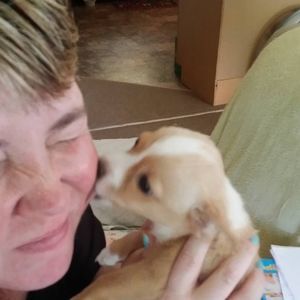 Meet your Posher, Jennifer herron