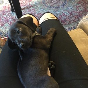 Meet your Posher, Joy