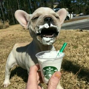 Meet your Posher, Riah