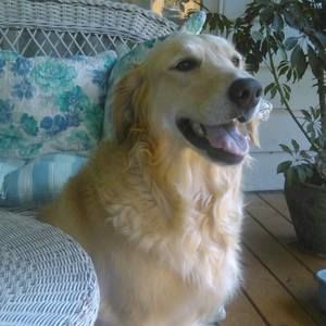 Meet your Posher, Ann