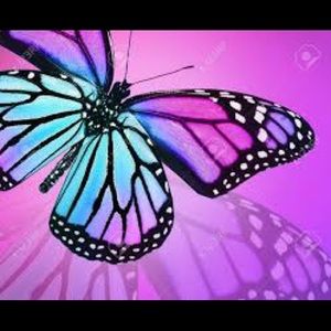 Meet your Posher, Kailey