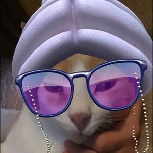 Meet your Posher, Sam