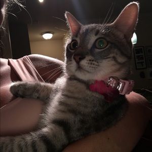 Meet your Posher, Daniela