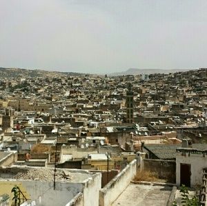 Meet your Posher, Kat