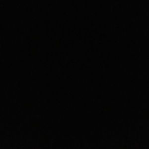 Meet your Posher, Amelia