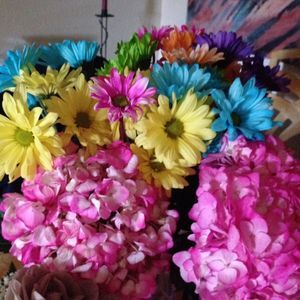 Meet your Posher, Wendy