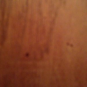 Meet your Posher, Ashlee