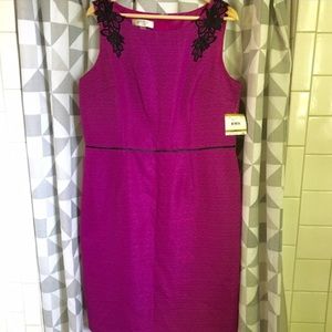 Kasper Dress, Sz 14. Pink and black