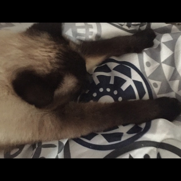 Meet your Posher, Mads - Picture 2 of 4