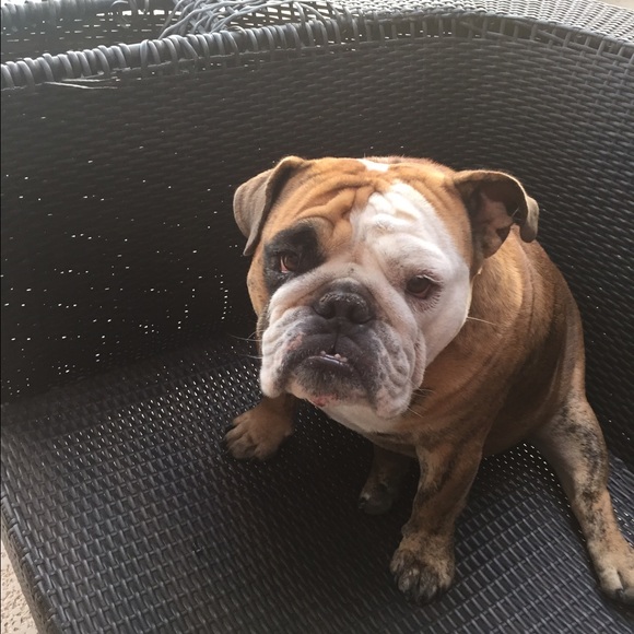 Meet your Posher, Mads - Picture 3 of 4