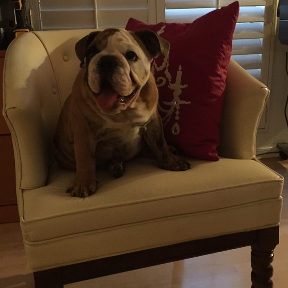 Meet your Posher, Mads - Picture 4 of 4