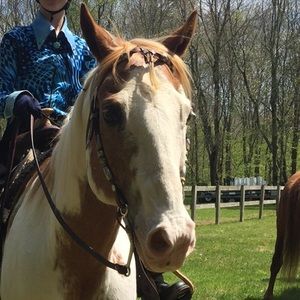 Meet your Posher, Ashley