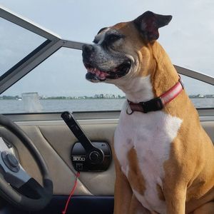 Meet your Posher, Christine