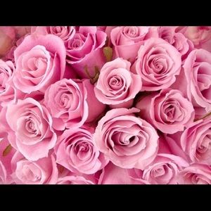 Meet your Posher, Mona