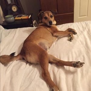 Meet your Posher, April