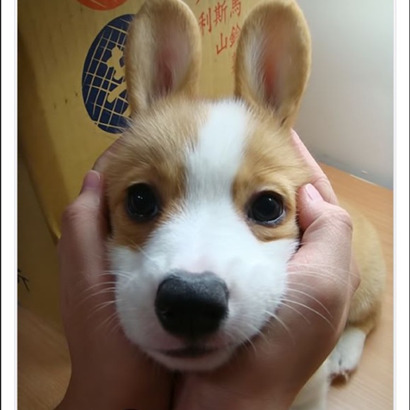 Meet your Posher, Marco - Picture 1 of 1