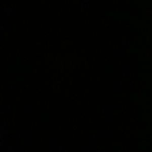 Meet your Posher, Beatrice