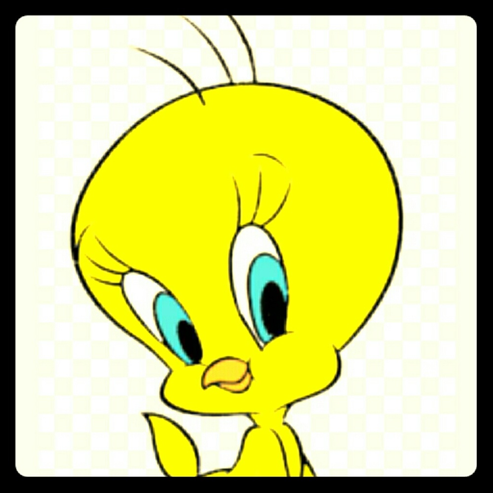 Meet your Posher, Sru