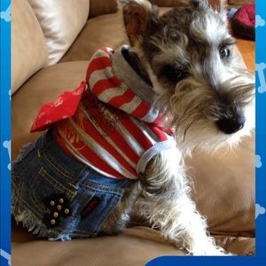 Meet your Posher, Linda