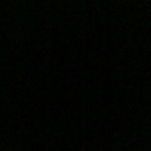 Meet your Posher, Joey