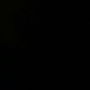 Meet your Posher, Darlene