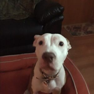 Meet your Posher, Kenzie