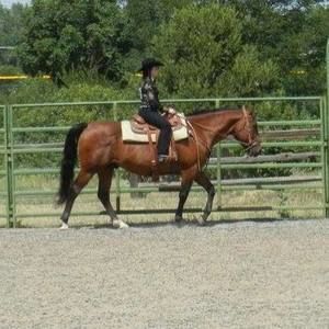 Meet your Posher, Alexa