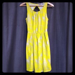 Ann Taylor Loft Cotton Dress