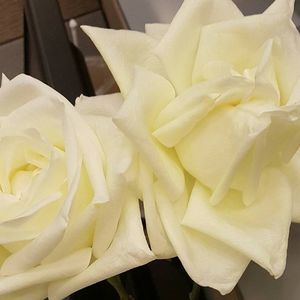 Meet your Posher, Jackalyn