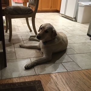 Meet your Posher, Candace