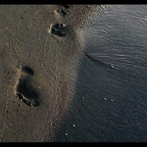 Meet your Posher, Lander