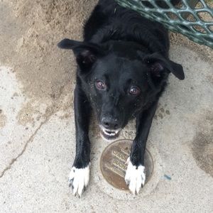 Meet your Posher, Alex