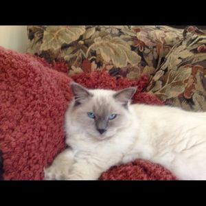 Meet your Posher, Patricia