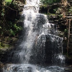 Meet your Posher, Sydney