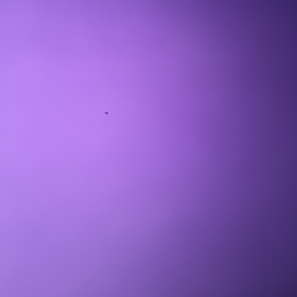 Meet your Posher, Mattie - Picture 1 of 1