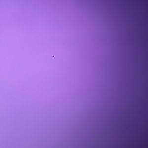 Meet your Posher, Mattie