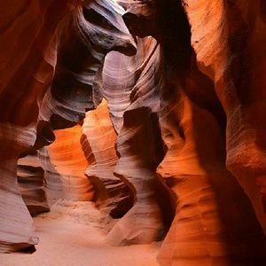 Meet your Posher, Antonella