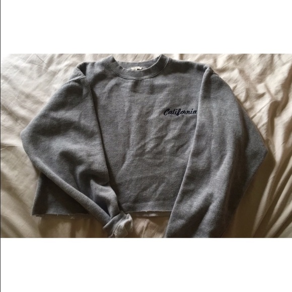pacsun cropped sweatshirt