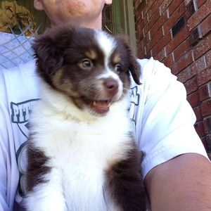 Meet your Posher, Kathy