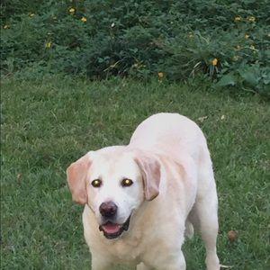 Meet your Posher, Nancy