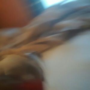 Meet your Posher, Deborah