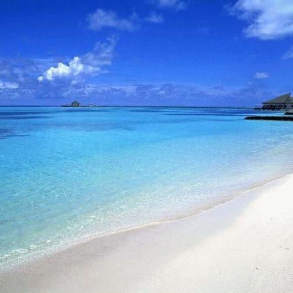 Meet your Posher, Lucyna - Picture 1 of 1