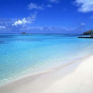 Meet your Posher, Lucyna