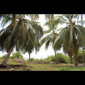 Meet your Posher, Carly