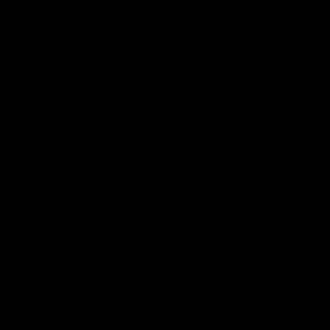 Meet your Posher, Sage