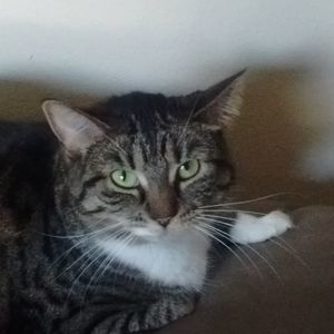 Meet your Posher, Kim