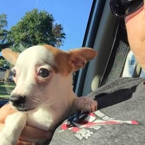 Meet your Posher, Retha